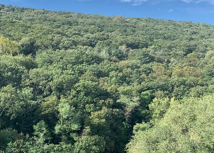 Al Bosco IncantatoAlbergo